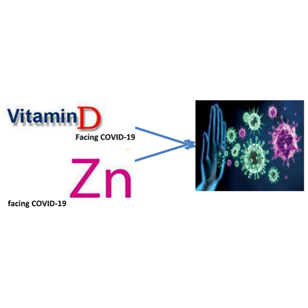 The Role of Vitamin D and Zinc In Facing COVID-19 Injury