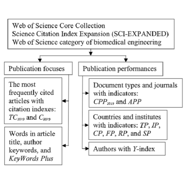 Highly Cited Publications in WoS, Biomedical Engineering in Science Citation Index Expanded A Bibliometric Analysis